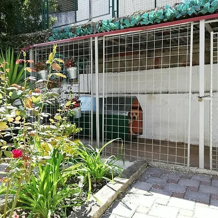 Daire Barney With Garden&terrace *