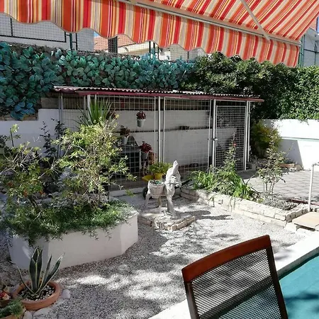 Barney With Garden&terrace Split
